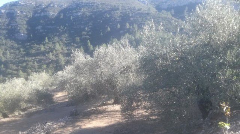 Tarragona - Tortosa - 41348m2
