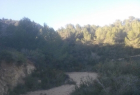 Foto 14
