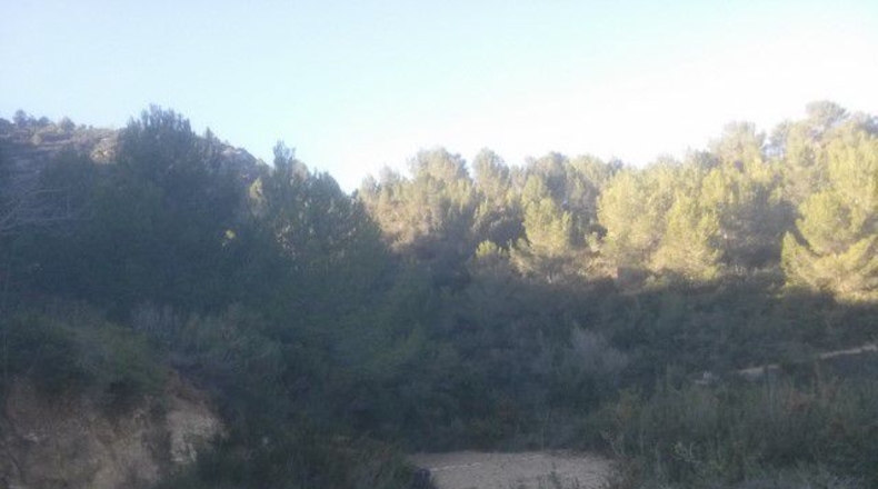 Tarragona - Tortosa - 41348m2