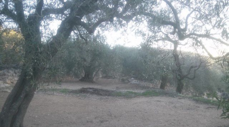 Tarragona - Tortosa - 41348m2