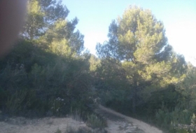 Foto 15