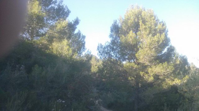 Tarragona - Tortosa - 41348m2