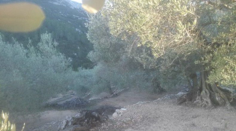 Tarragona - Tortosa - 41348m2