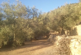 Foto 18