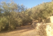 Finca rústica en venda a Tortosa ref.: TR40936 foto