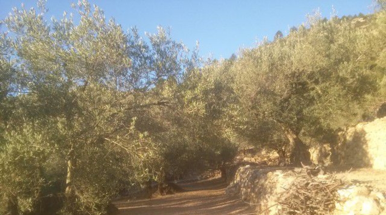 Tarragona - Tortosa - 41348m2