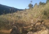 Finca rústica en venda a Tortosa ref.: TR40936 foto