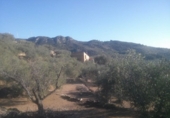 Finca rústica en venda a Tortosa ref.: TR40936 foto