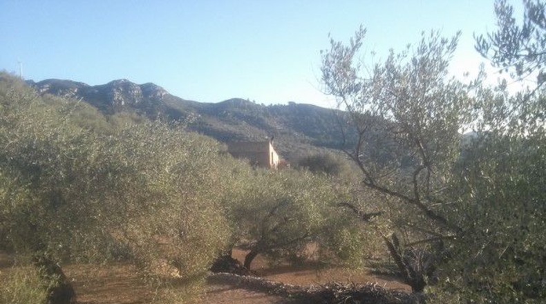 Tarragona - Tortosa - 41348m2