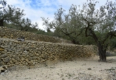 Finca rústica en venda a Tortosa ref.: TR40936 foto