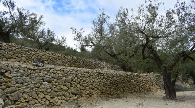 Tarragona - Tortosa - 41348m2