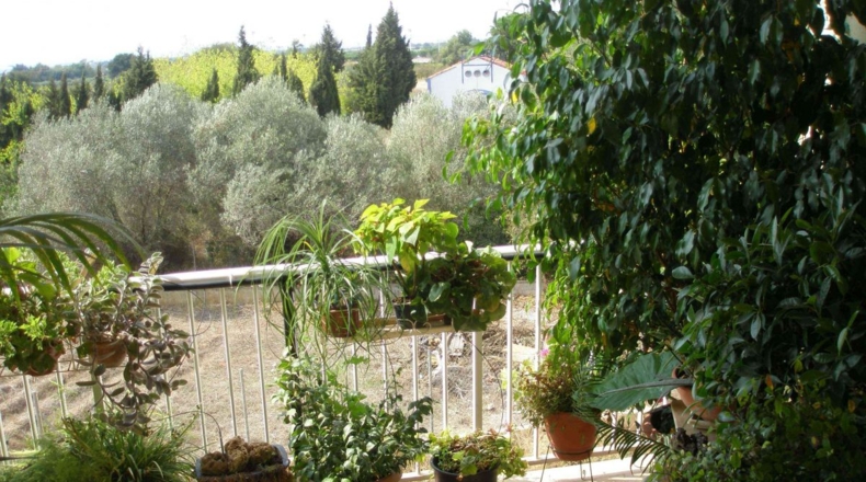 Tarragona - Alcanar - 735m2