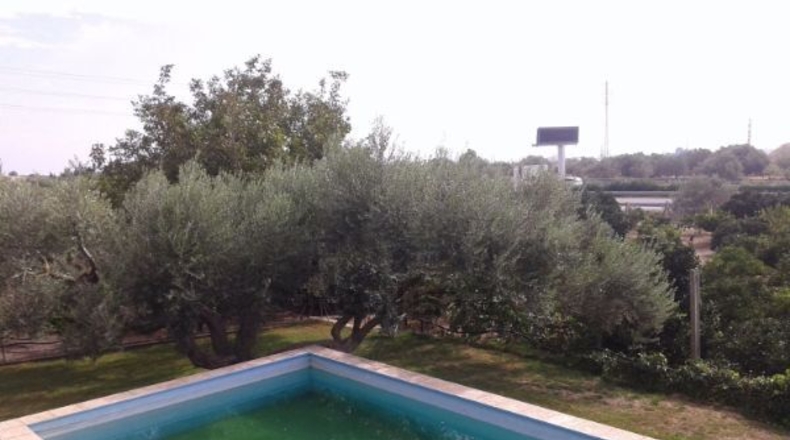 Tarragona - l'Aldea - 9500m2