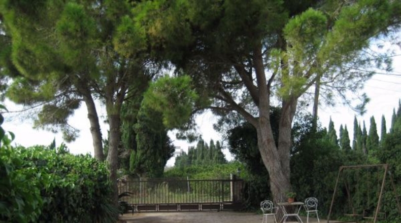 Tarragona - l'Aldea - 9500m2