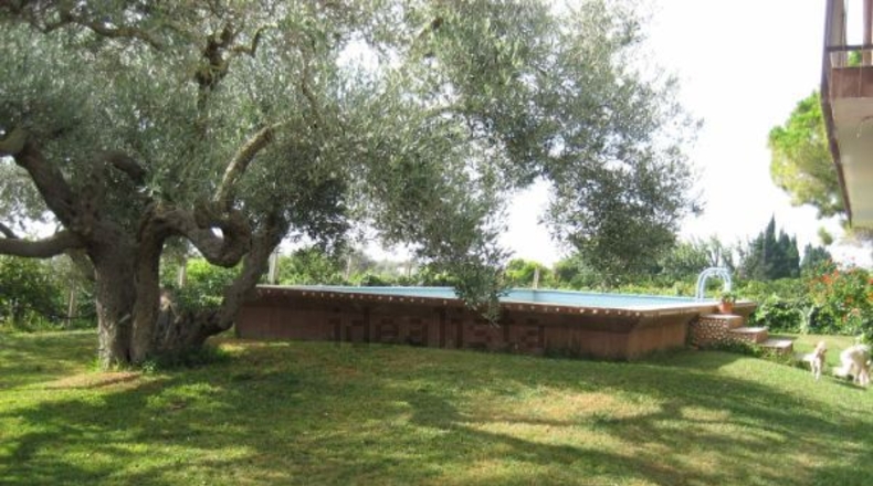 Tarragona - l'Aldea - 9500m2