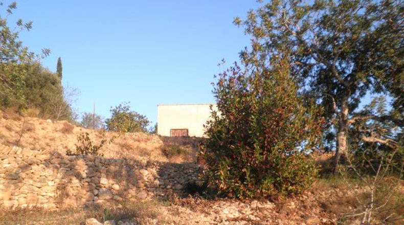 Tarragona - Tortosa - 3000m2