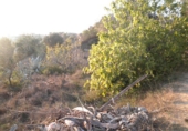 Отдельно стоящий дом с участком на продажу в городе Tortosa. Фото