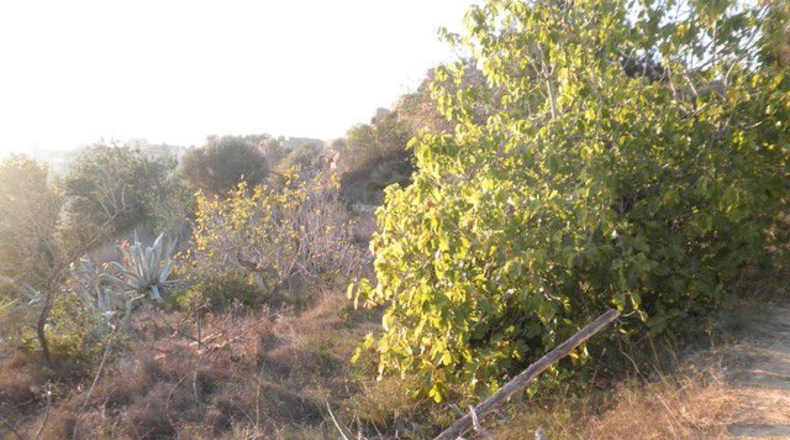Tarragona - Tortosa - 3000m2