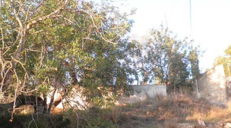 Tarragona - Tortosa - 3000m2