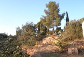 Foto 16