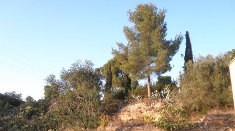 Tarragona - Tortosa - 3000m2