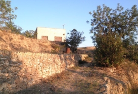 Foto 19