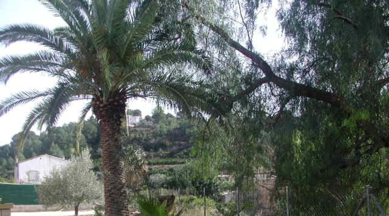 Tarragona - Tortosa - 2072m2