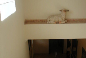 Foto 19