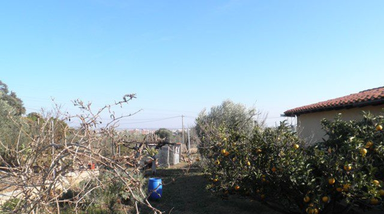 Tarragona - Amposta - 2995m2