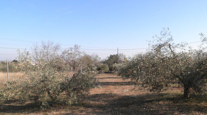 Tarragona - Amposta - 2995m2
