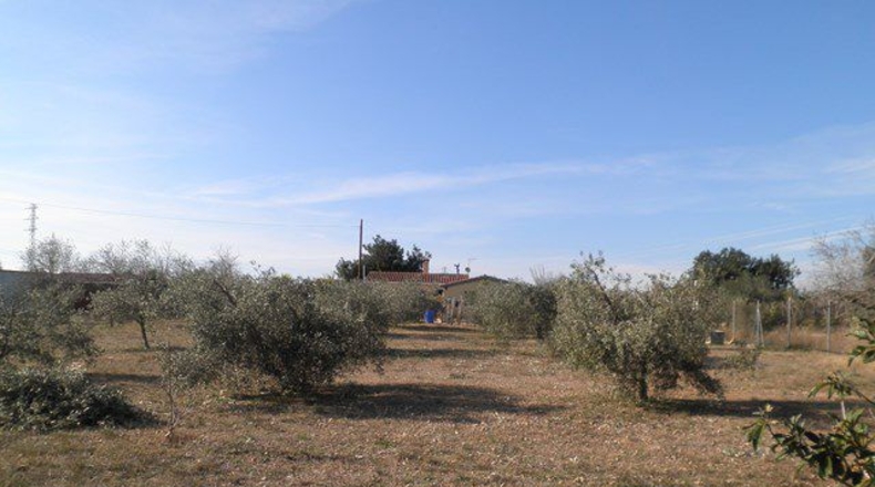 Tarragona - Amposta - 2995m2