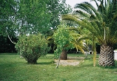 Chalet independiente con terreno en venta en Deltebre ref: TR27822 foto