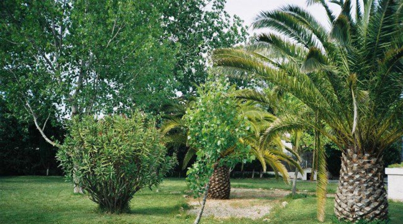 Tarragona - Deltebre - 1500m2