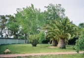 Chalet independiente con terreno en venta en Deltebre ref: TR27822 foto