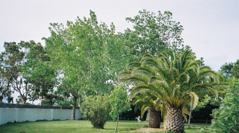 Tarragona - Deltebre - 1500m2