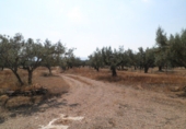 Chalet independiente con terreno en venta en Tortosa ref: TR27821 foto