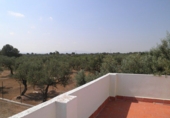 Chalet independiente con terreno en venta en Tortosa ref: TR27821 foto