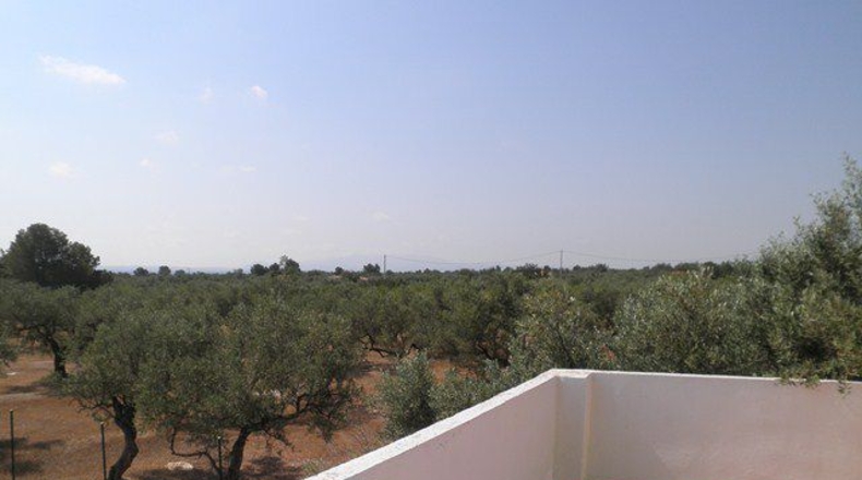 Tarragona - Tortosa - 4380m2