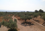 Chalet independiente con terreno en venta en Tortosa ref: TR27821 foto