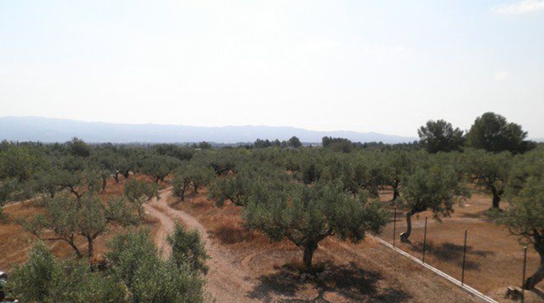 Tarragona - Tortosa - 4380m2