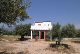 Foto 19