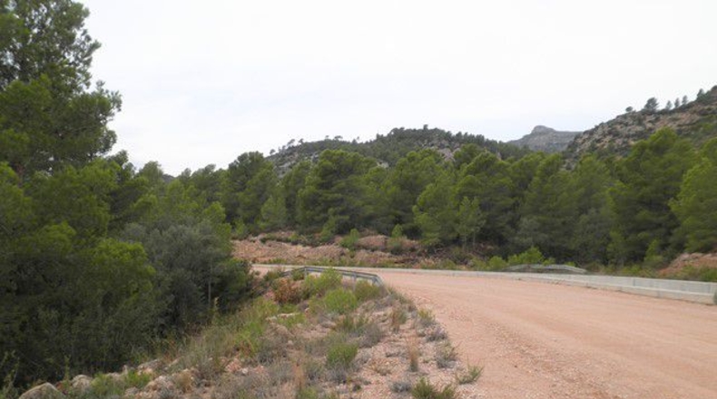 Tarragona - Xerta - 12674m2