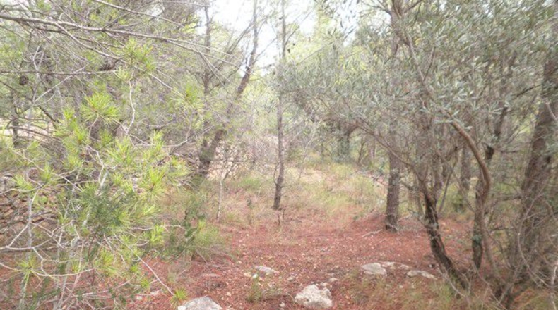 Tarragona - Xerta - 12674m2