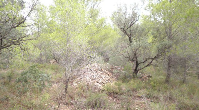 Tarragona - Xerta - 12674m2