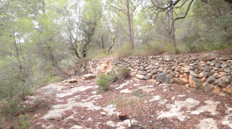 Tarragona - Xerta - 12674m2