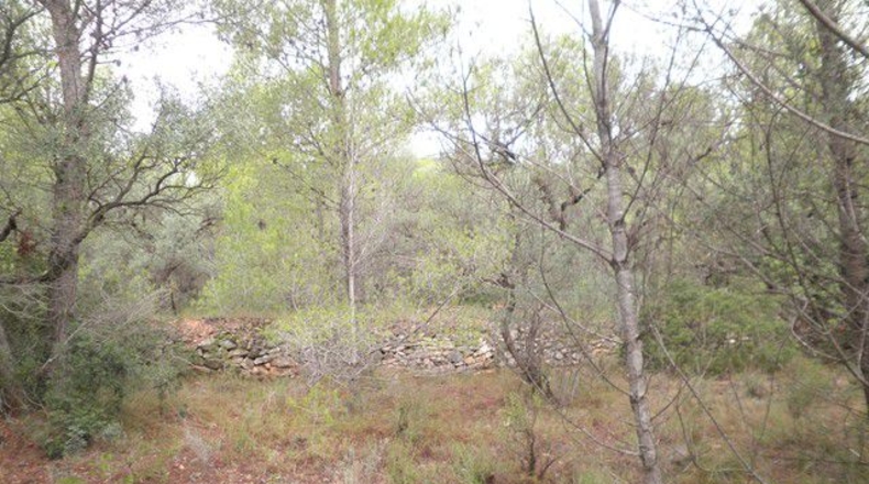 Tarragona - Xerta - 12674m2