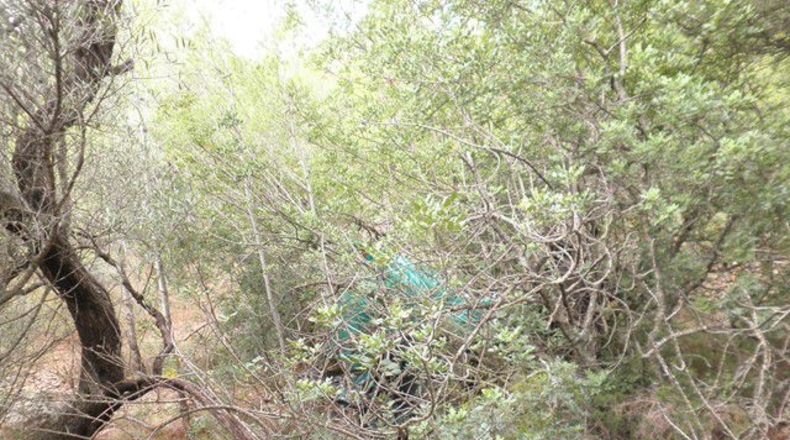 Tarragona - Xerta - 12674m2