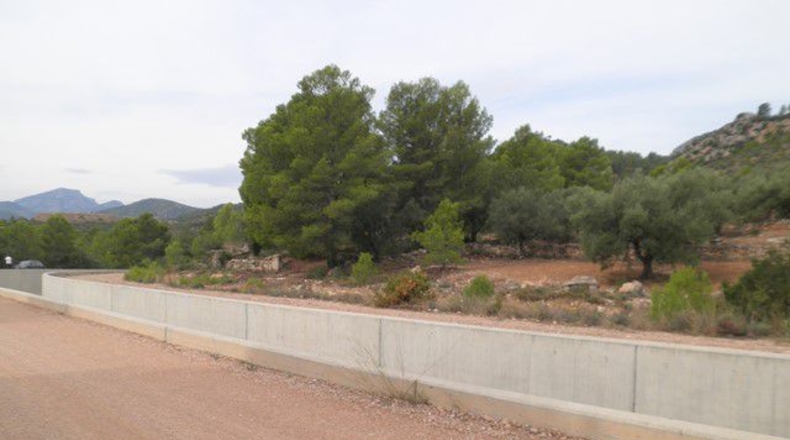 Tarragona - Xerta - 12674m2