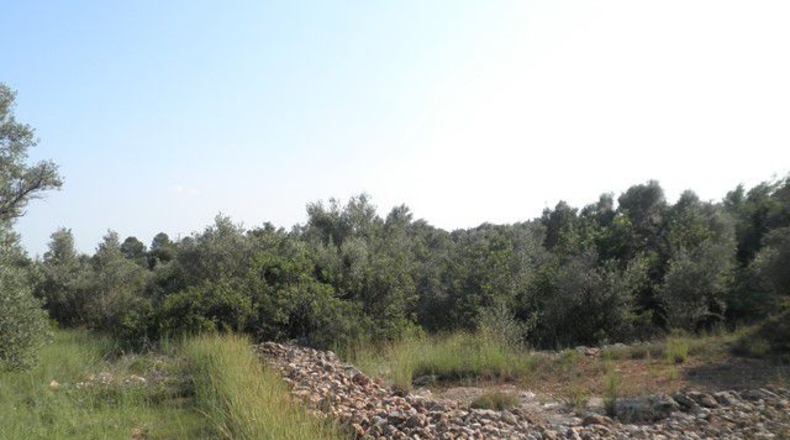 Tarragona - Tortosa - 13750m2