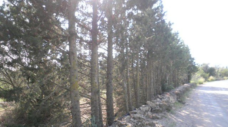 Tarragona - Tortosa - 13750m2